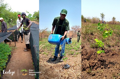 Ecologi and Eden Reforestation tree planting projects in Mozambique