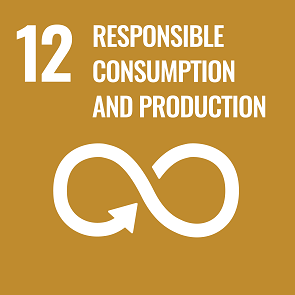 12 – Responsible Consumption and Production